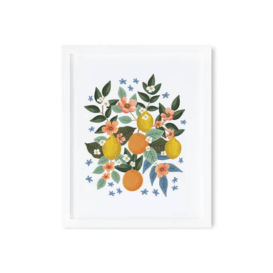 Rifle Paper Co 8x10 Art Print - Citrus Grove