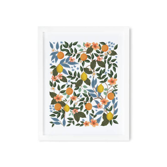 Rifle Paper Co 11x14 Print - Citrus Grove