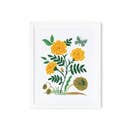 Rifle Paper Co 8x10 Art Print - French Marigold