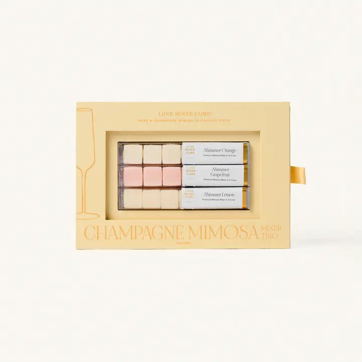 Champagne Mimosa Mixer Kit