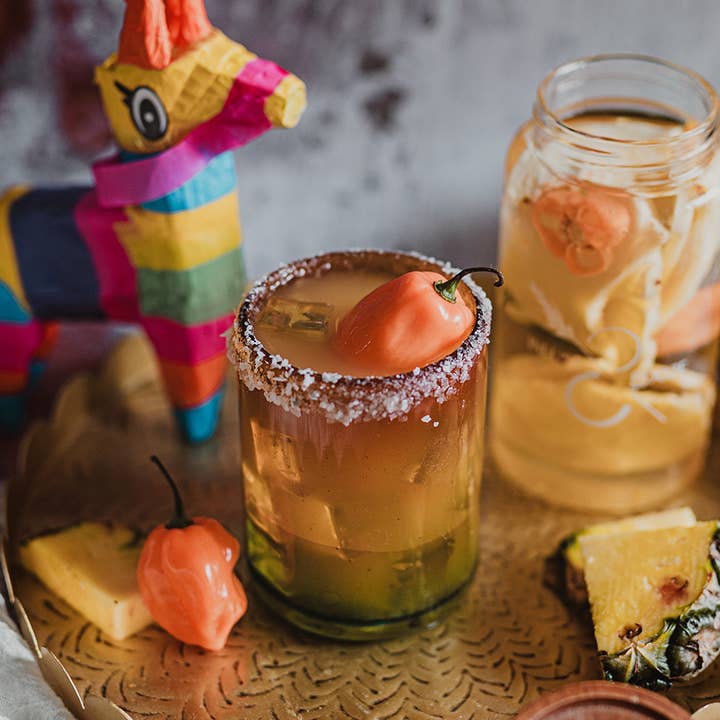 Infuse & Booze Spicy Rita Infusion Kit