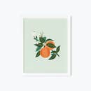 Rifle Paper Co 8x10 Art Print - Orange Blossom