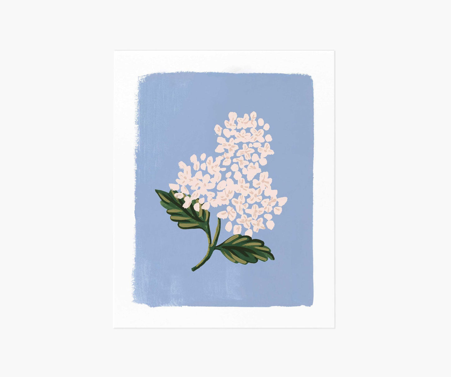 Rifle Paper Co 8x10 Print - Hydrangea Bloom Blue