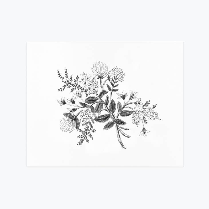 Rifle Paper Co 8x10 Art Print - Clover Sketch