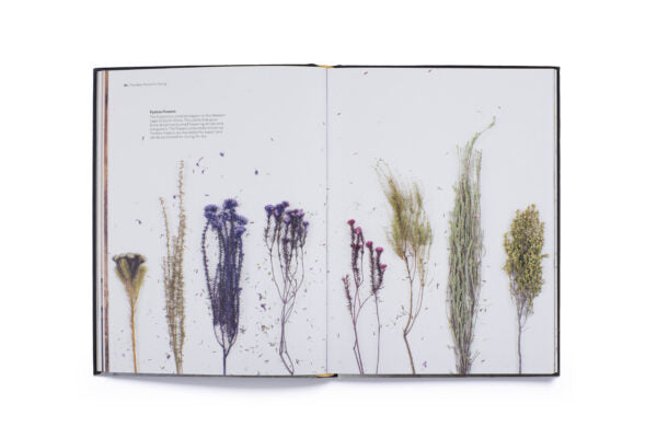 Cut & Dry: The Modern Guide to Dried Flowers from Growing to Styling