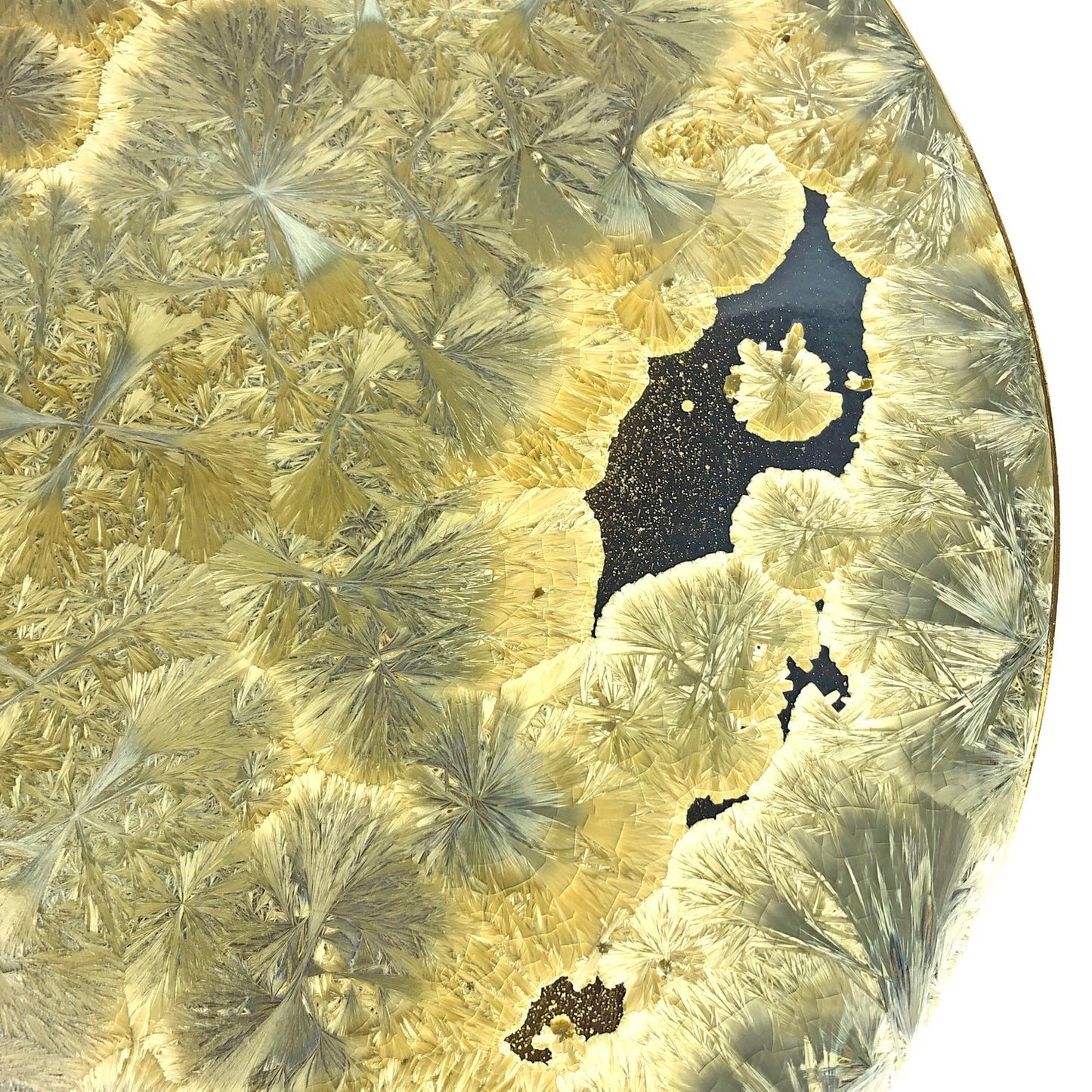 Borealis Medium Lazy Susan - Gold