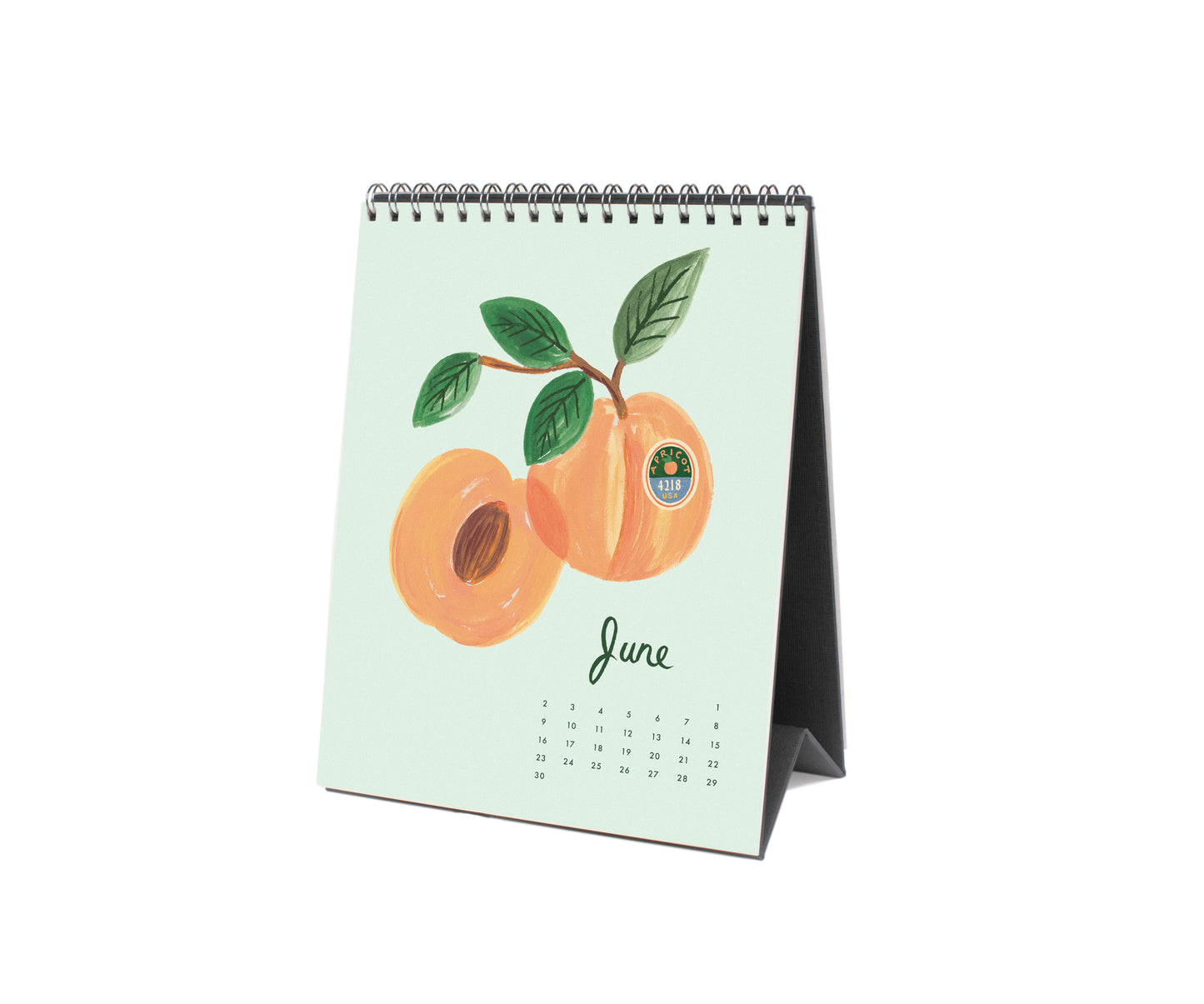 Rifle Paper Co 2024 Desk Calendar - Fruit Stand