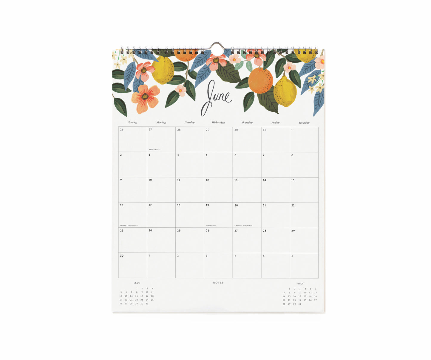 Rifle Paper Co 2024 Appointment Calendar - Peacock