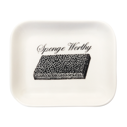 Funny Little Trays - Sponge Worthy