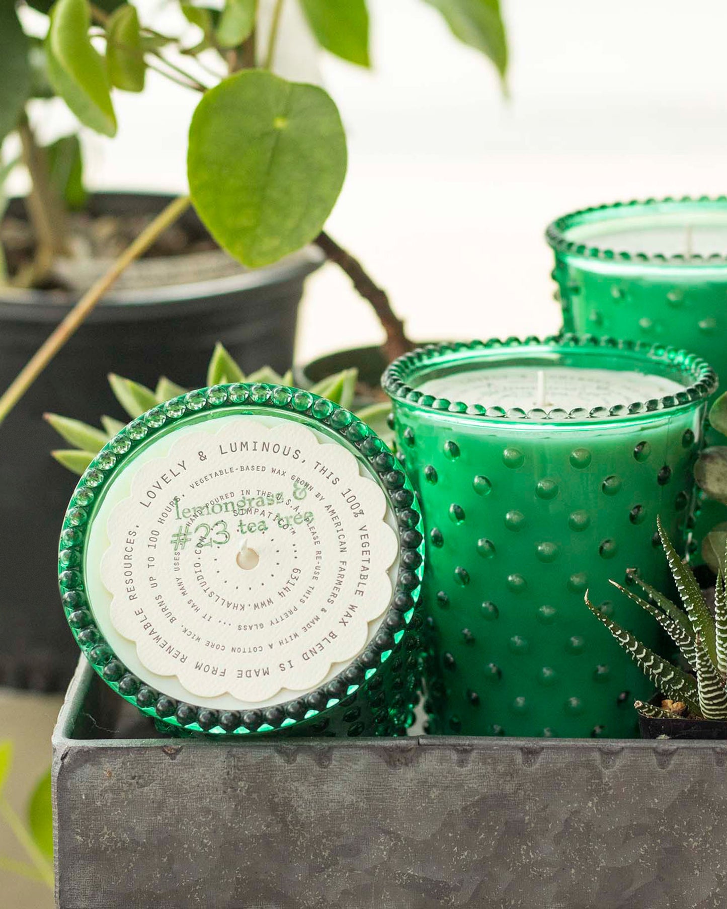 Simpatico Hobnail Candle - Lemongrass & Tea Tree