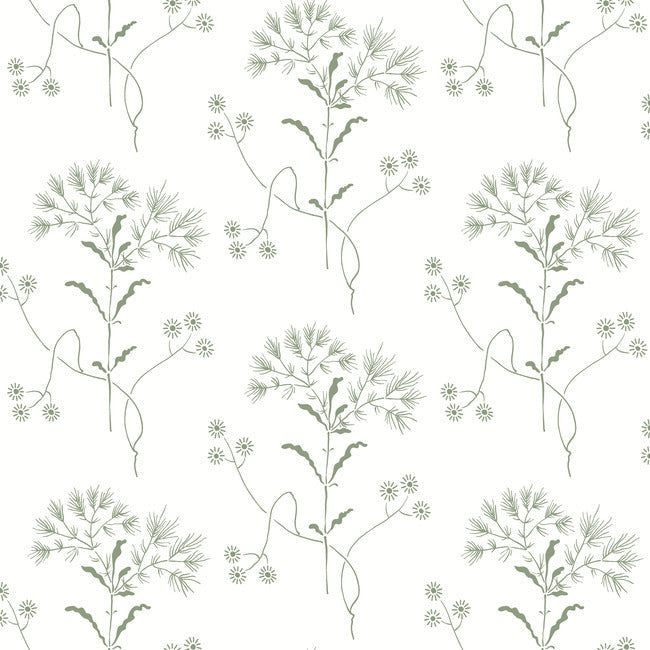 Magnolia Home Wildflower Peel & Stick Wallpaper - Green