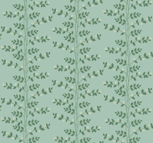 Rifle Paper Co Climbing Vine Wallpaper - Soft Teal