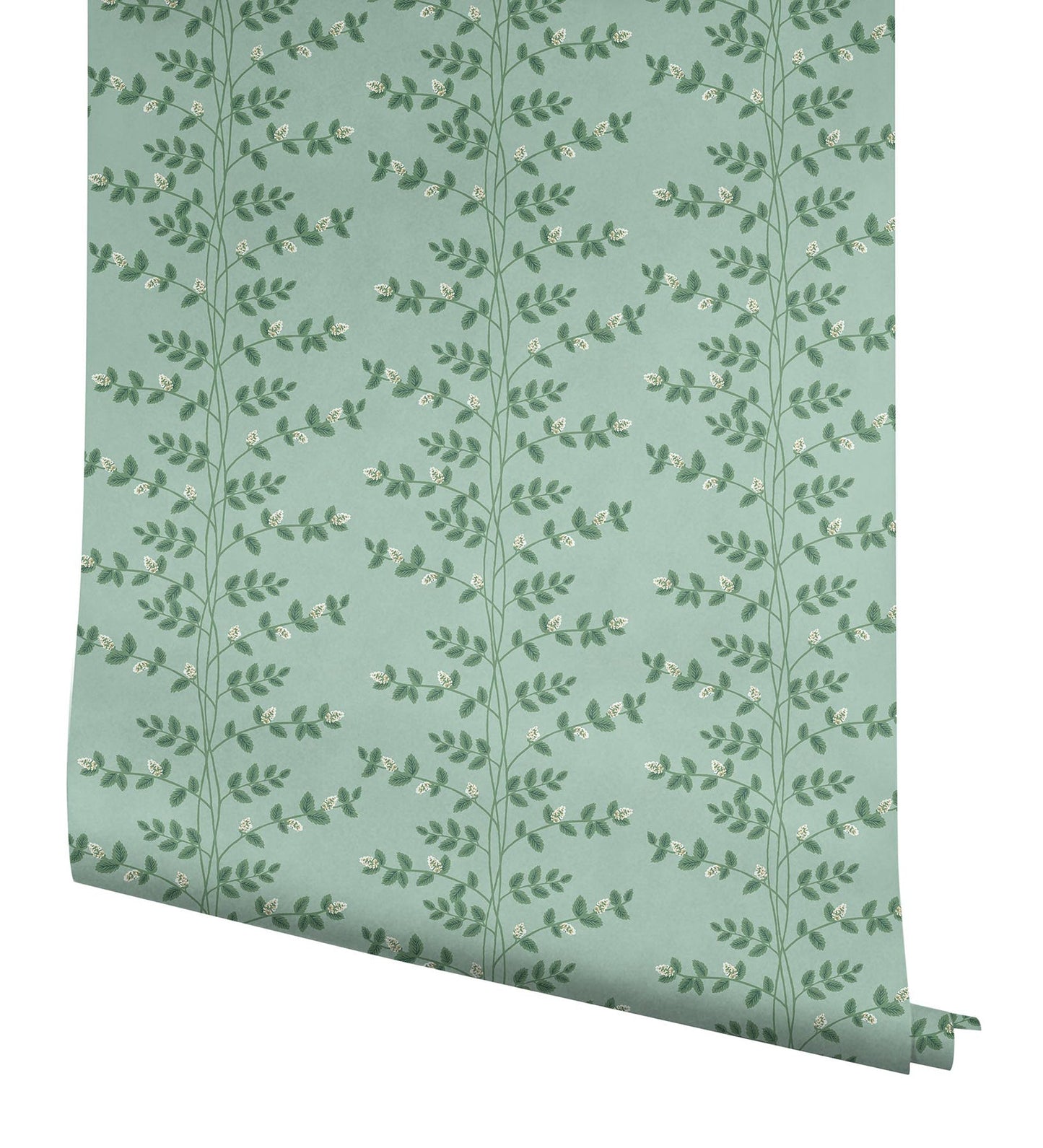 Rifle Paper Co Climbing Vine Wallpaper - Soft Teal