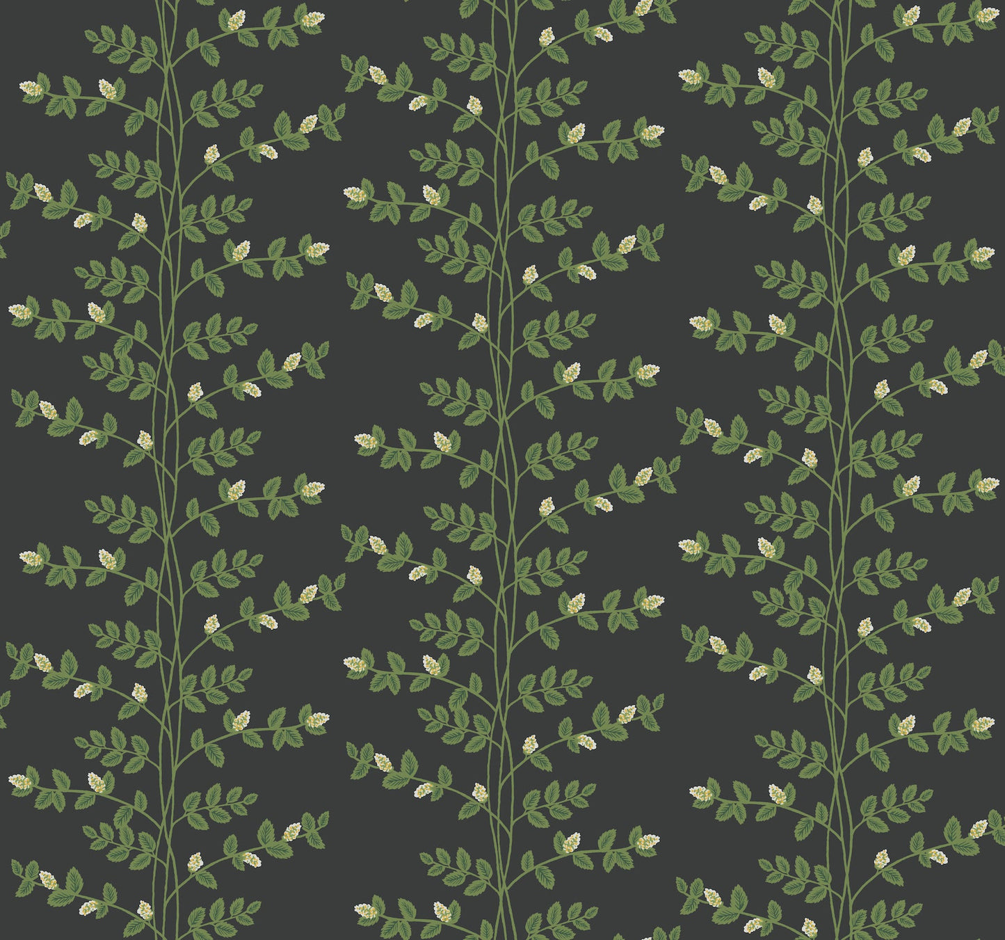 Rifle Paper Co Climbing Vine Wallpaper - Black