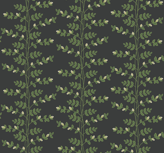 Rifle Paper Co Climbing Vine Wallpaper - Black