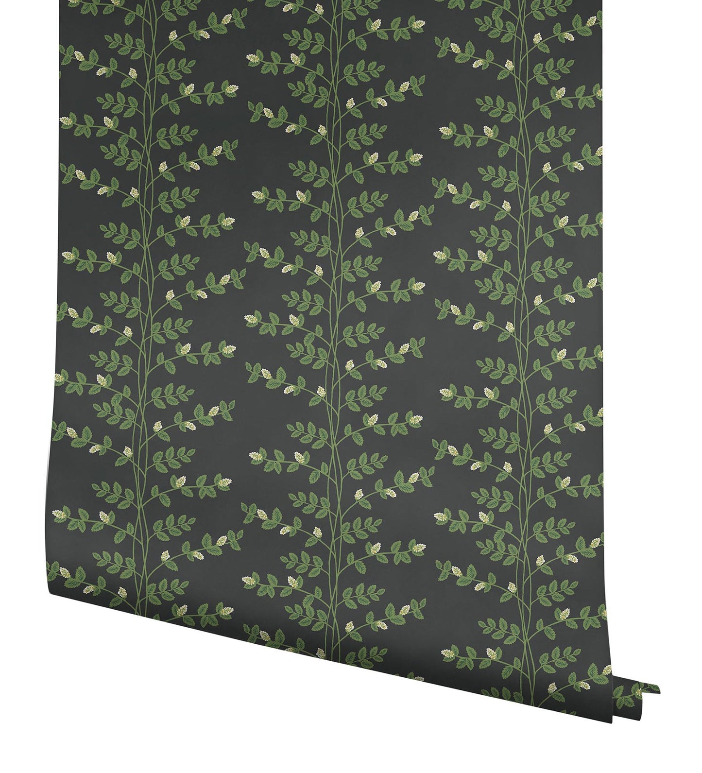 Rifle Paper Co Climbing Vine Wallpaper - Black