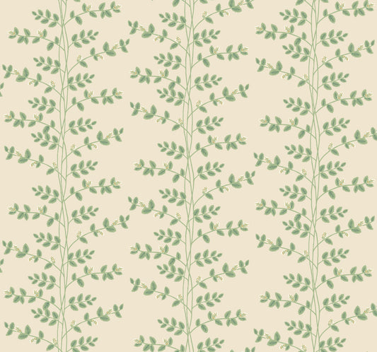 Rifle Paper Co Climbing Vine Wallpaper - Linen