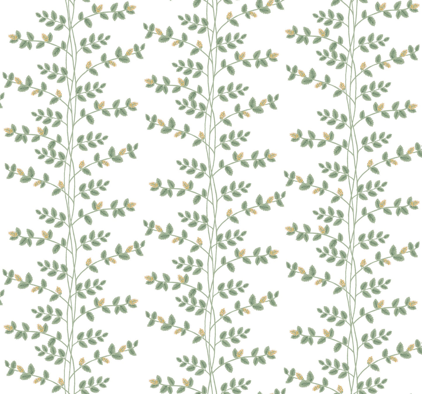 Rifle Paper Co Climbing Vine Wallpaper - White & Gold