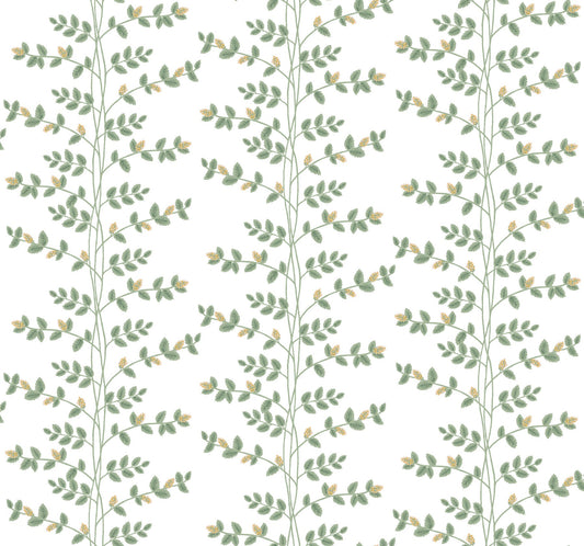 Rifle Paper Co Climbing Vine Wallpaper - White & Gold