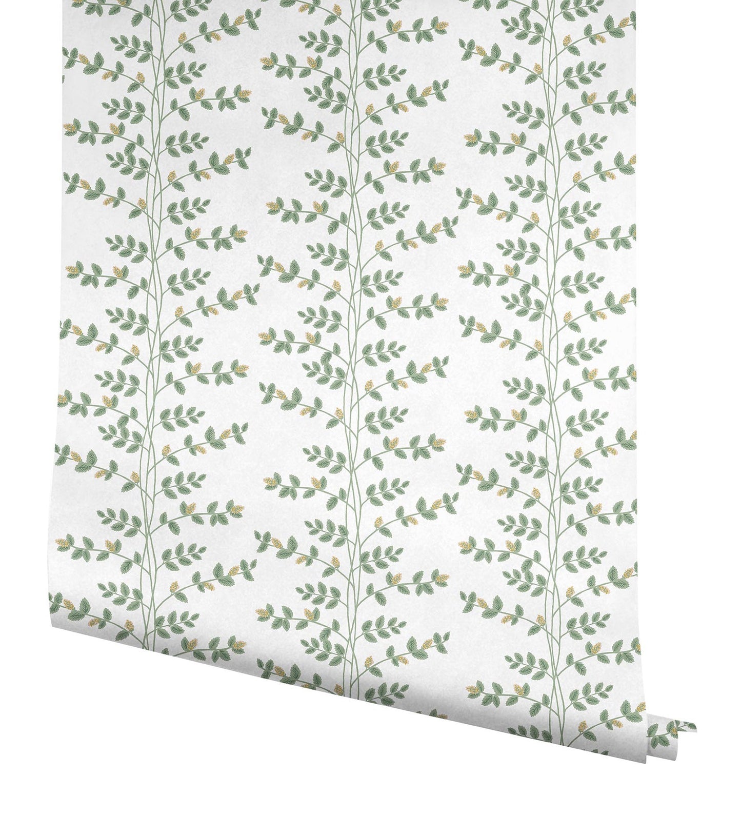 Rifle Paper Co Climbing Vine Wallpaper - White & Gold