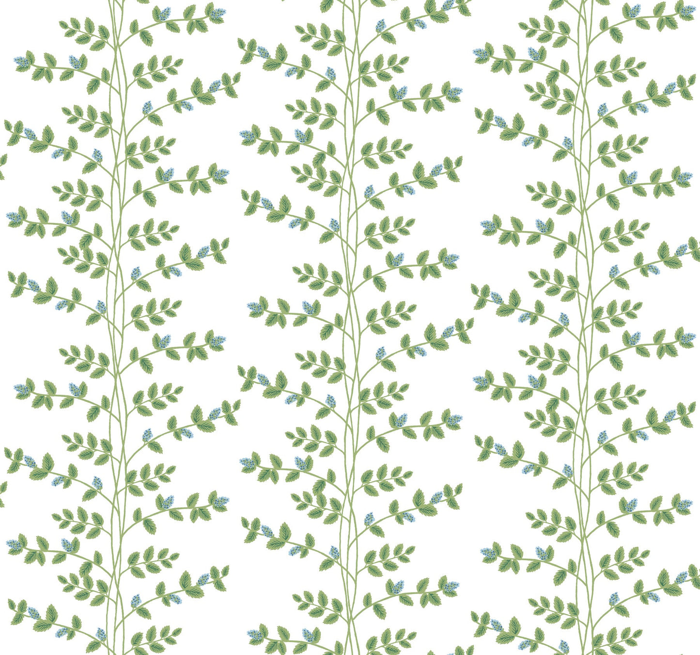 Rifle Paper Co Climbing Vine Wallpaper - White & Blue