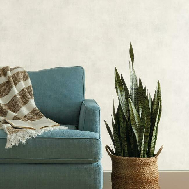 Magnolia Home Plaster Texture Wallpaper - White and Off White