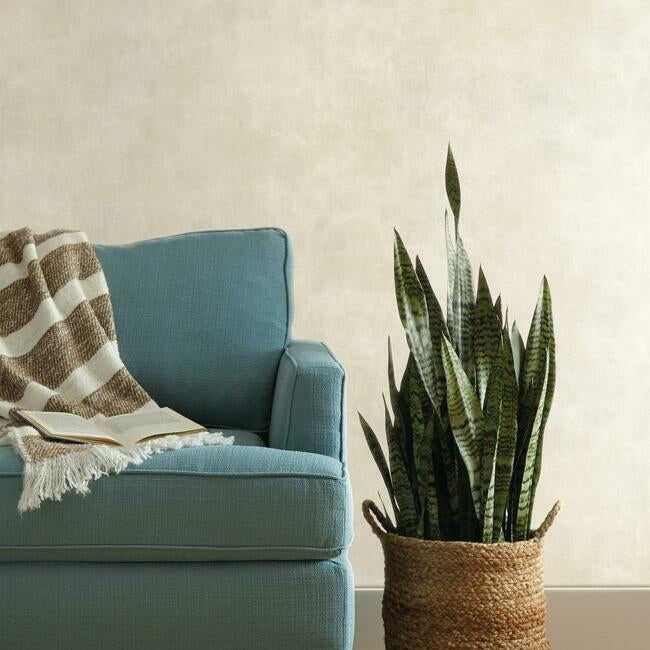 Magnolia Home Plaster Texture Wallpaper - Cloud Cream