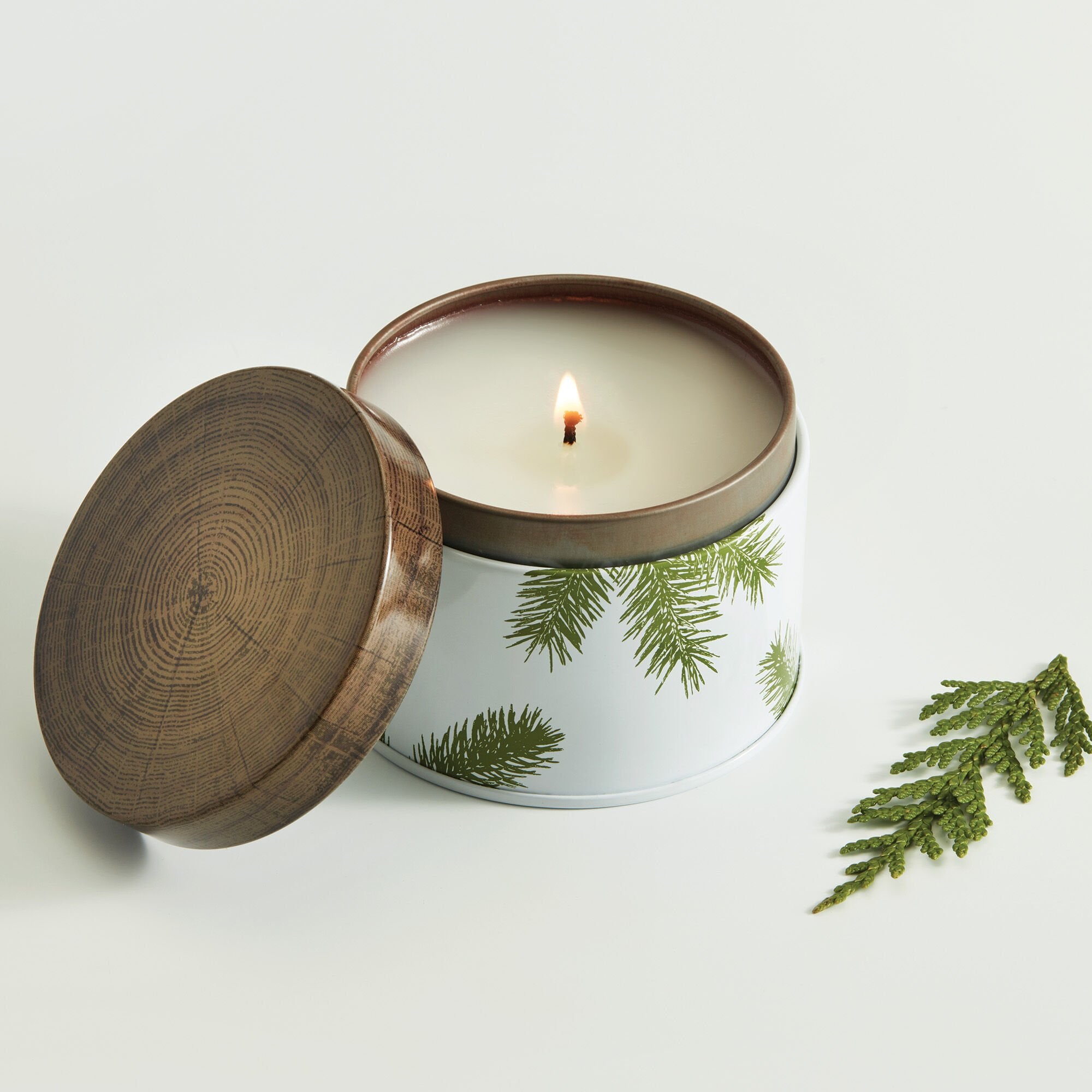 Thymes - Frasier Fir Pine Needle Medium Luminary Candle at