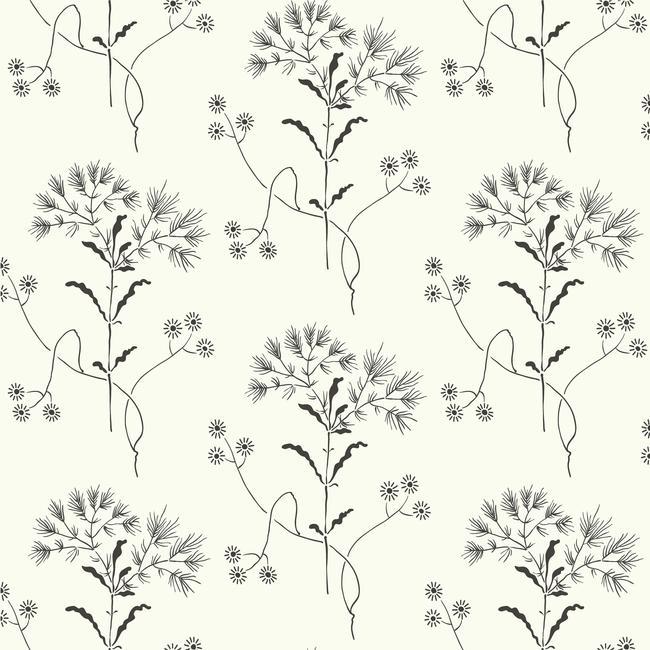 Magnolia Home Wildflower Wallpaper - Black on White