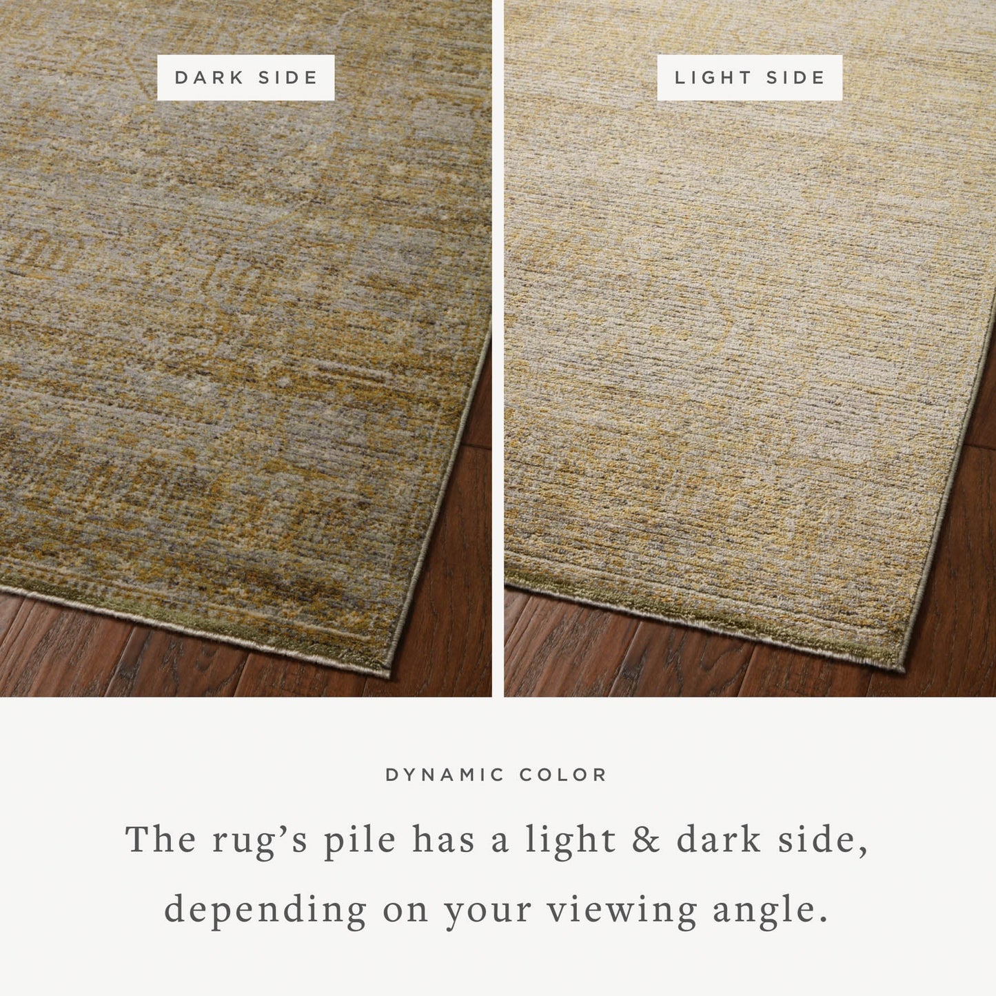 Jean Stoffer x Loloi Bradbury Rug - Dove Gold