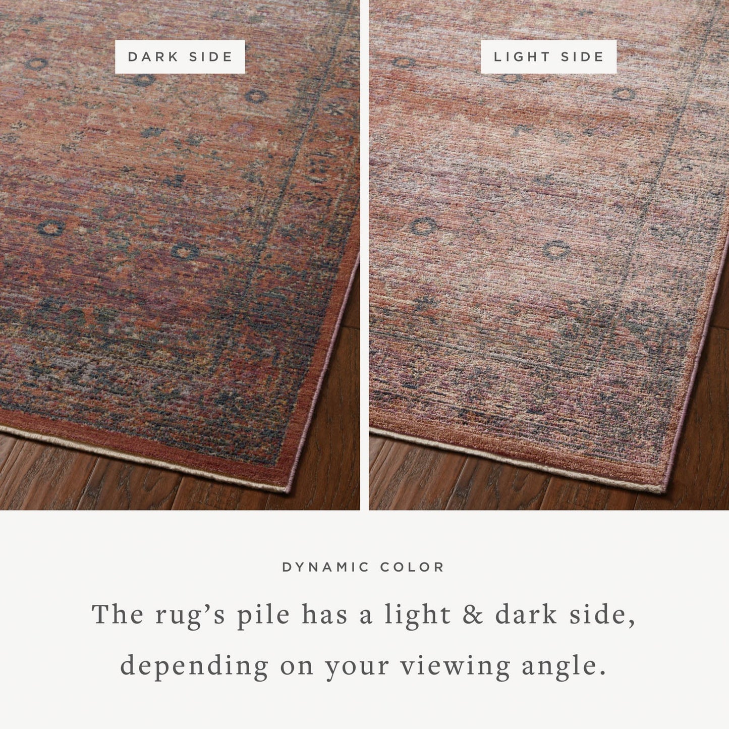 Jean Stoffer x Loloi Bradbury Rug - Sunset Multi