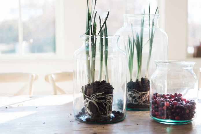 Clear Mason Jar - 10L