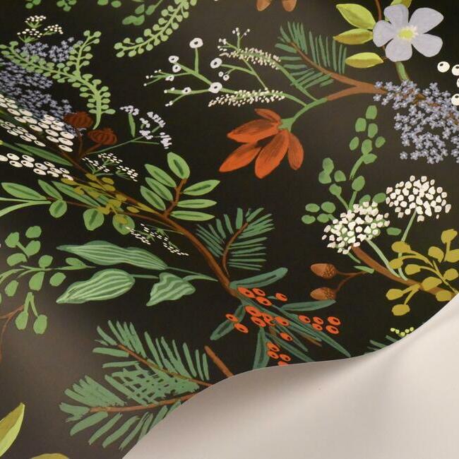 Rifle Paper Co Juniper Forest Peel & Stick Wallpaper - Black
