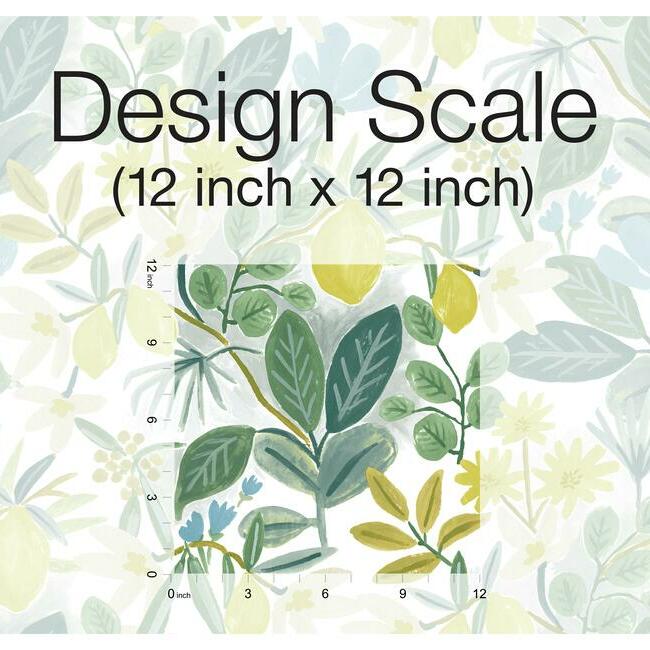 Rifle Paper Co Amalfi Peel & Stick Wallpaper - Blush & Green