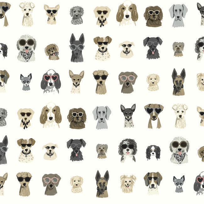 Rifle Paper Co Dog Days Peel & Stick Wallpaper - Grey