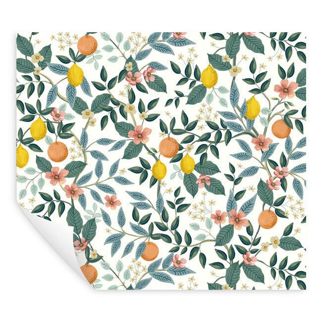Rifle Paper Co Citrus Grove Peel & Stick Wallpaper - White