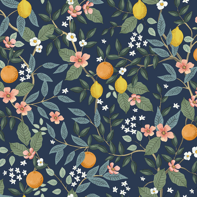 Rifle Paper Co Citrus Grove Peel & Stick Wallpaper - Navy