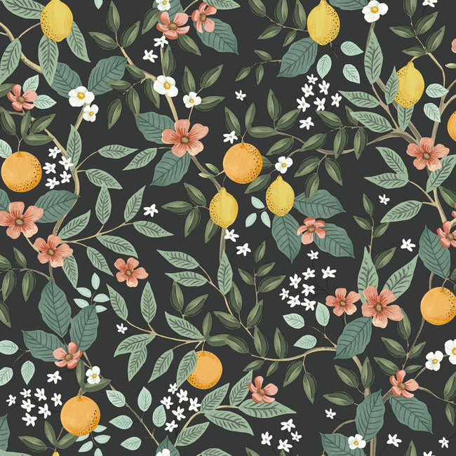 Rifle Paper Co Citrus Grove Peel & Stick Wallpaper - Black