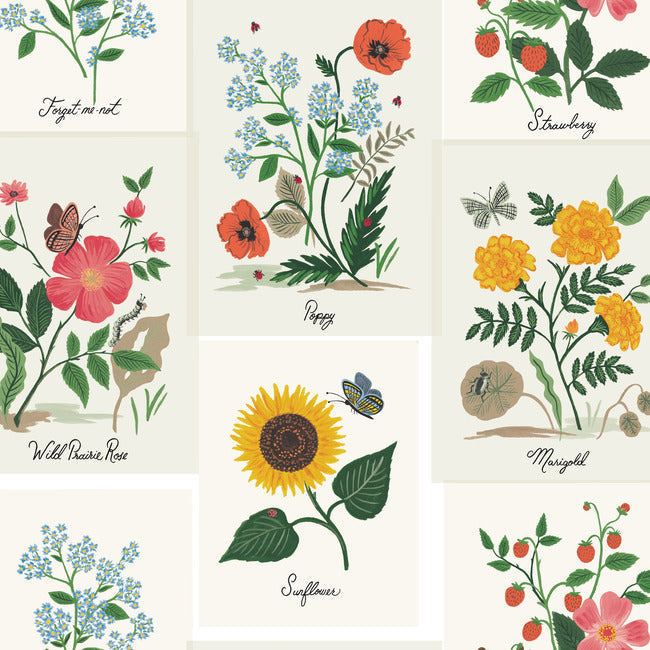 Rifle Paper Co Botanical Prints Wallpaper - White