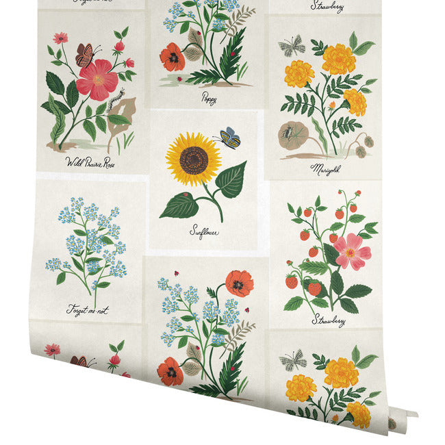 Rifle Paper Co Botanical Prints Wallpaper - White