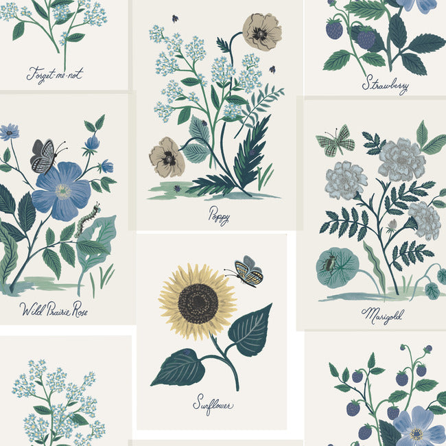 Rifle Paper Co Botanical Prints Wallpaper - Indigo