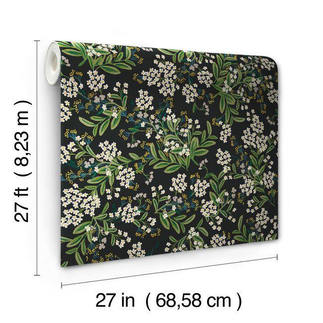 Rifle Paper Co Cornflower Wallpaper - Black