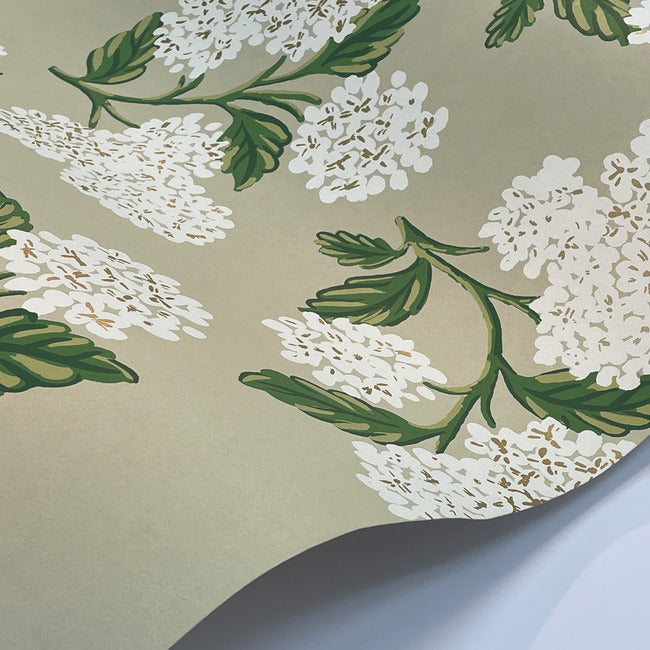 Rifle Paper Co Hydrangea Wallpaper - Linen