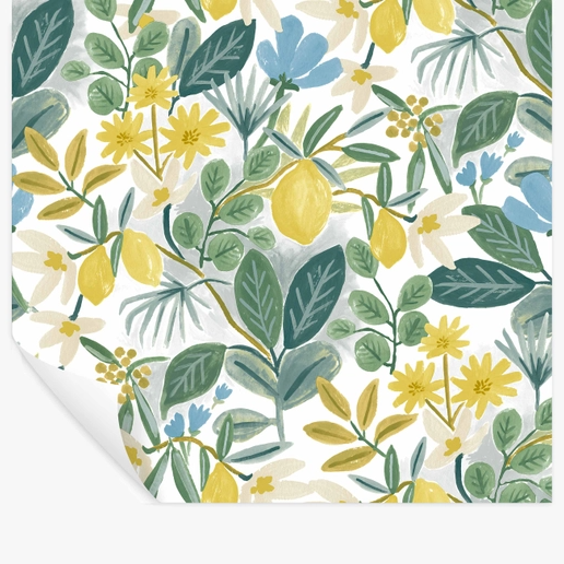 Rifle Paper Co Amalfi Peel & Stick Wallpaper - Blue & Green