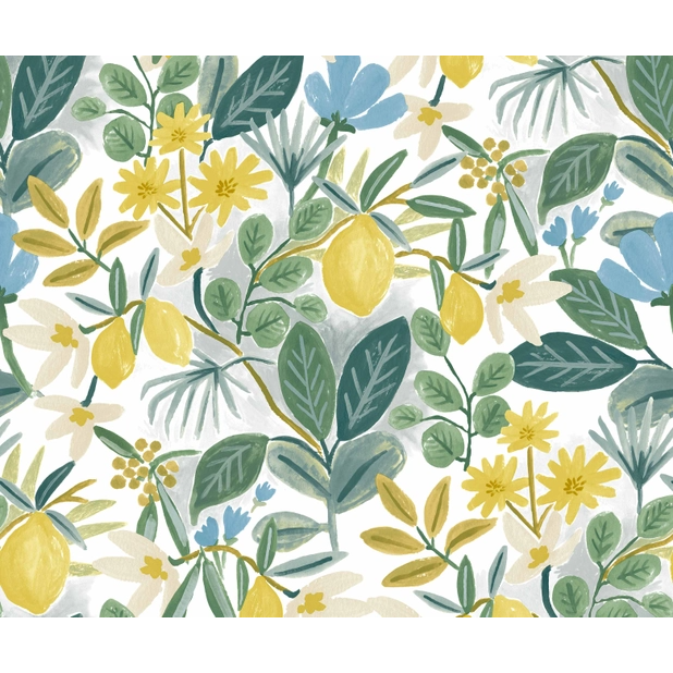 Rifle Paper Co Amalfi Peel & Stick Wallpaper - Blue & Green