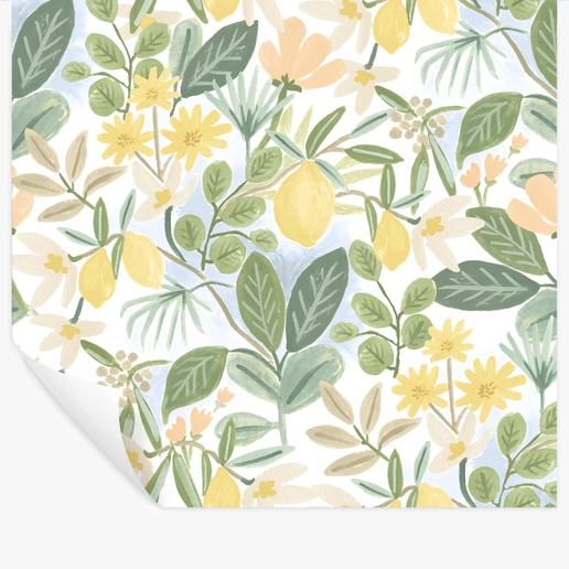 Rifle Paper Co Amalfi Peel & Stick Wallpaper - Blush & Green