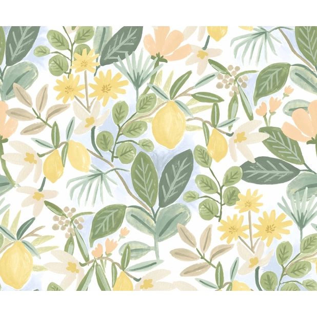 Rifle Paper Co Amalfi Peel & Stick Wallpaper - Blush & Green