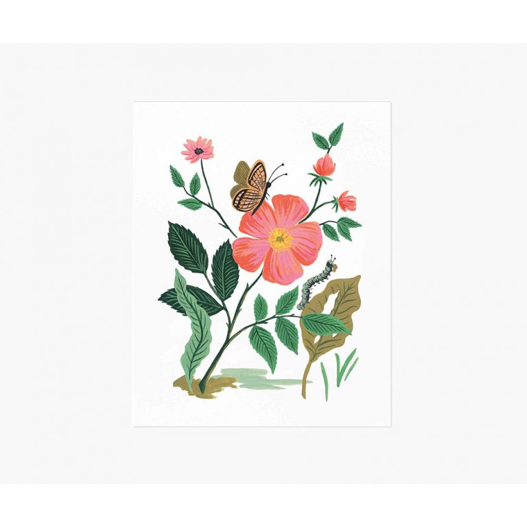 Rifle Paper Co 8x10 Art Print - Garden Rose