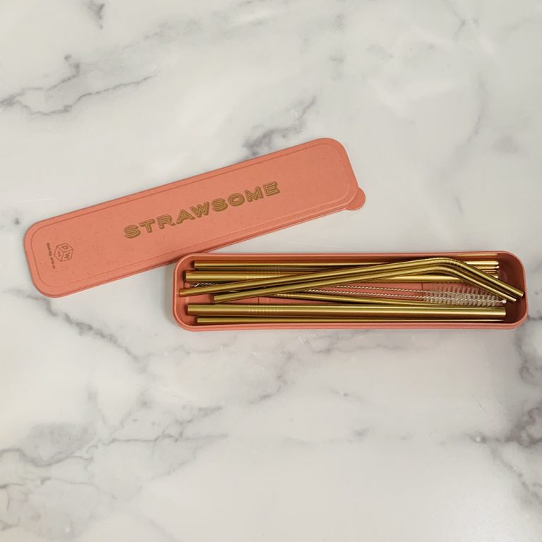 Stainless Steel Straw Set - Strawsome