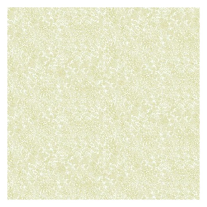 Rifle Paper Co Champagne Dots Wallpaper - Metallic Gold & White